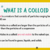 Colloids - Image 3